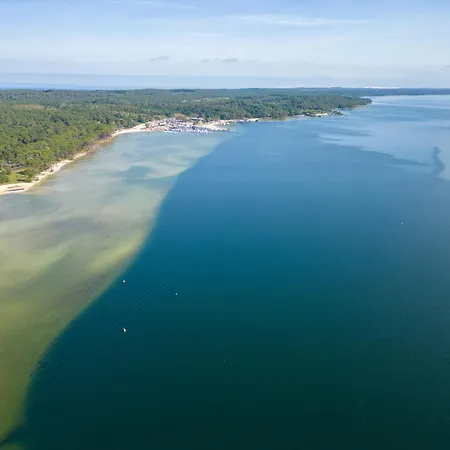 Maison Familiale Au Milieu Des Pins à - 6 Pers, 300m Du Lac, Ménage Inclus - Fr-1-319-573 * Biscarrosse