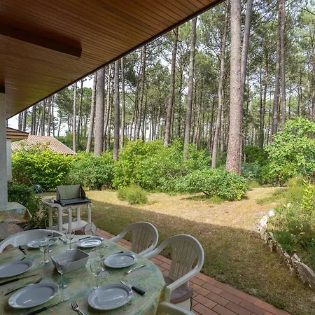 Maison Familiale Au Milieu Des Pins A - 6 Pers, 300m Du Lac, Menage Inclus - Fr-1-319-573 Holiday home