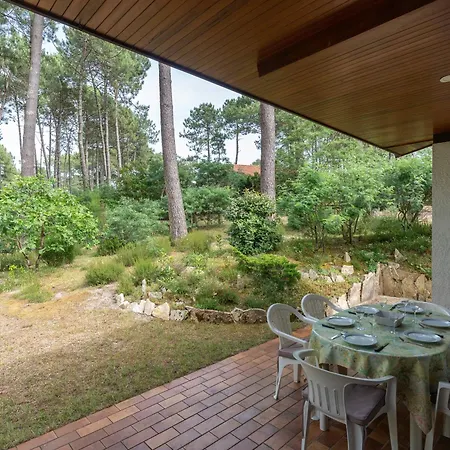Maison Familiale Au Milieu Des Pins A - 6 Pers, 300m Du Lac, Menage Inclus - Fr-1-319-573 Biscarrosse