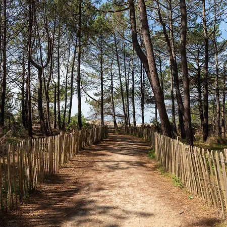 Maison Familiale Au Milieu Des Pins A - 6 Pers, 300m Du Lac, Menage Inclus - Fr-1-319-573 *