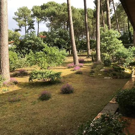 Maison Familiale Au Milieu Des Pins A - 6 Pers, 300m Du Lac, Menage Inclus - Fr-1-319-573 * Biscarrosse
