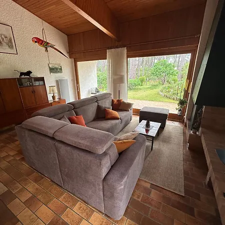Maison Familiale Au Milieu Des Pins A - 6 Pers, 300m Du Lac, Menage Inclus - Fr-1-319-573 Biscarrosse