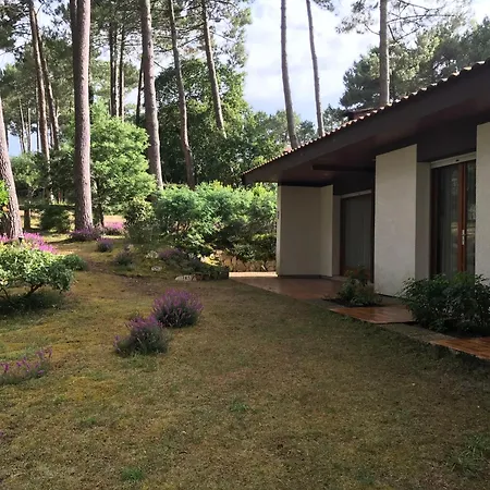Maison Familiale Au Milieu Des Pins A - 6 Pers, 300m Du Lac, Menage Inclus - Fr-1-319-573 *