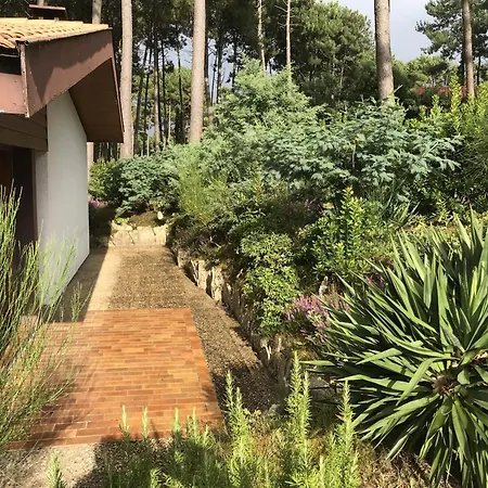 Maison Familiale Au Milieu Des Pins A - 6 Pers, 300m Du Lac, Menage Inclus - Fr-1-319-573 *