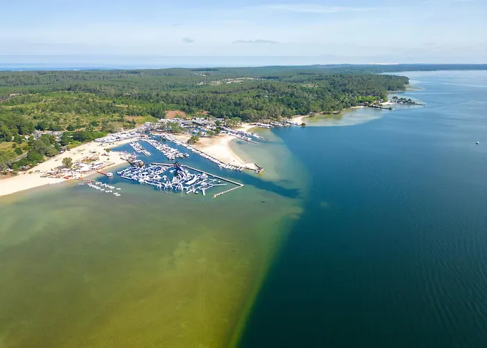 Maison Familiale Au Milieu Des Pins A - 6 Pers, 300m Du Lac, Menage Inclus - Fr-1-319-573 بيت للعطل